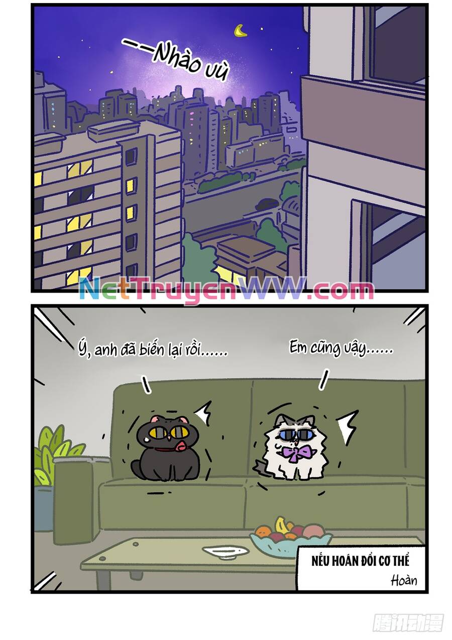 a mãn và mạch trà chapter 155.1 6