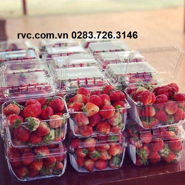 Hộp Nhựa trong đựng hoa quả, trái cây