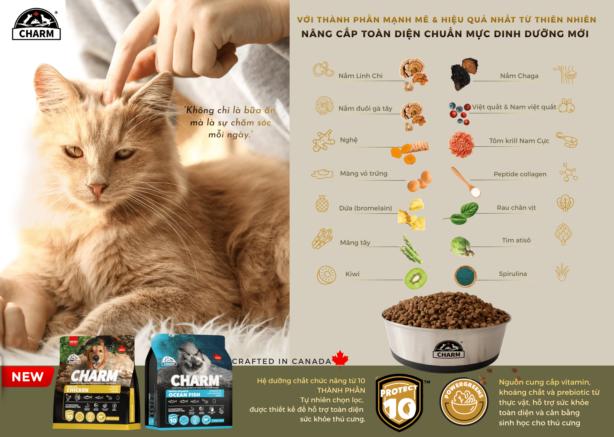 Thức Ăn Hạt Mèo cao cấp Cá Đại Dương CHARM North Atlantic Ocean Fish Cat Food Canada - CHỌN