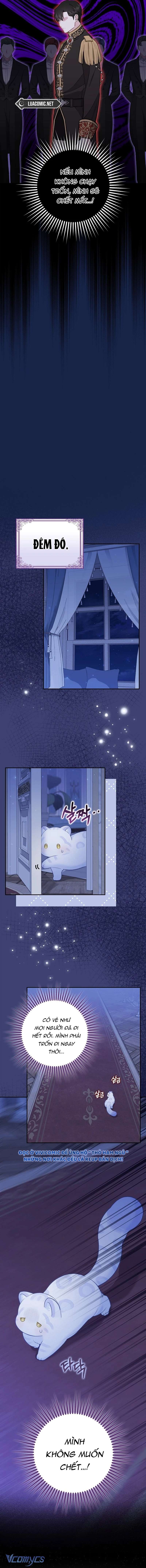 bé con báo tuyết của gia tộc báo đen chapter 6 13