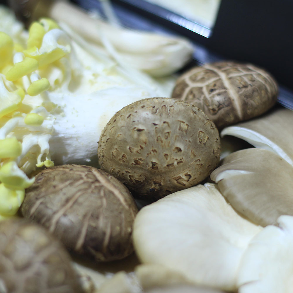Combo Lẩu Nấm Happy 300gr - Nông Trại Nấm Xanh