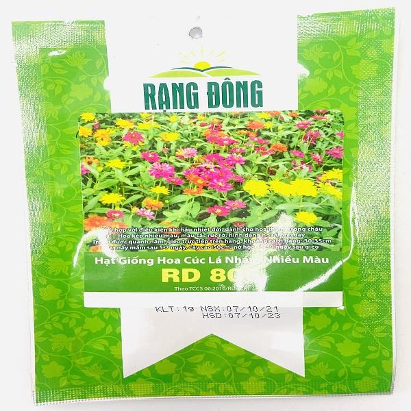 Hạt giống hoa cúc lá nhám nhiều màu RD 806