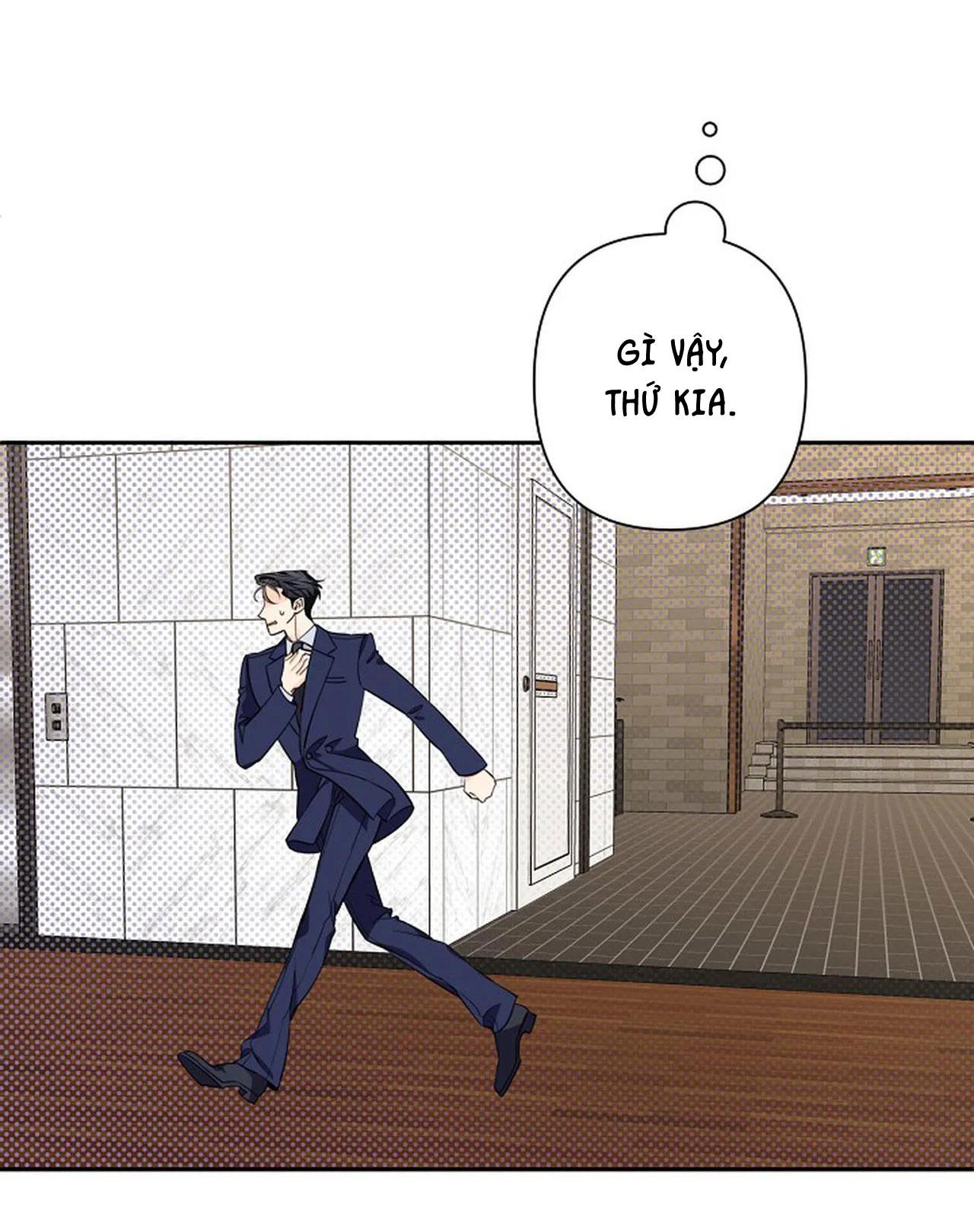 đêm dịu dàng chapter 48 7