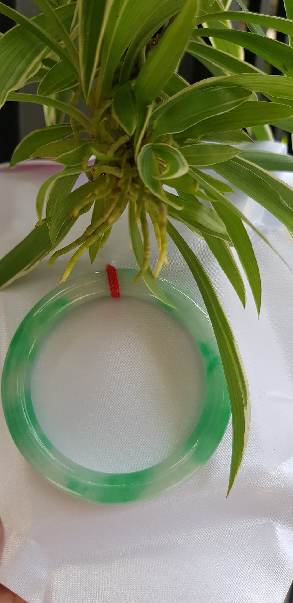 Vòng tay nữ đá Cẩm Thạch tự nhiên mới TR LÝ IC 54mm x chột to 9mm vòng màu trắng xanh lý đẹp nữ 52kg - 56kg đeo ạ