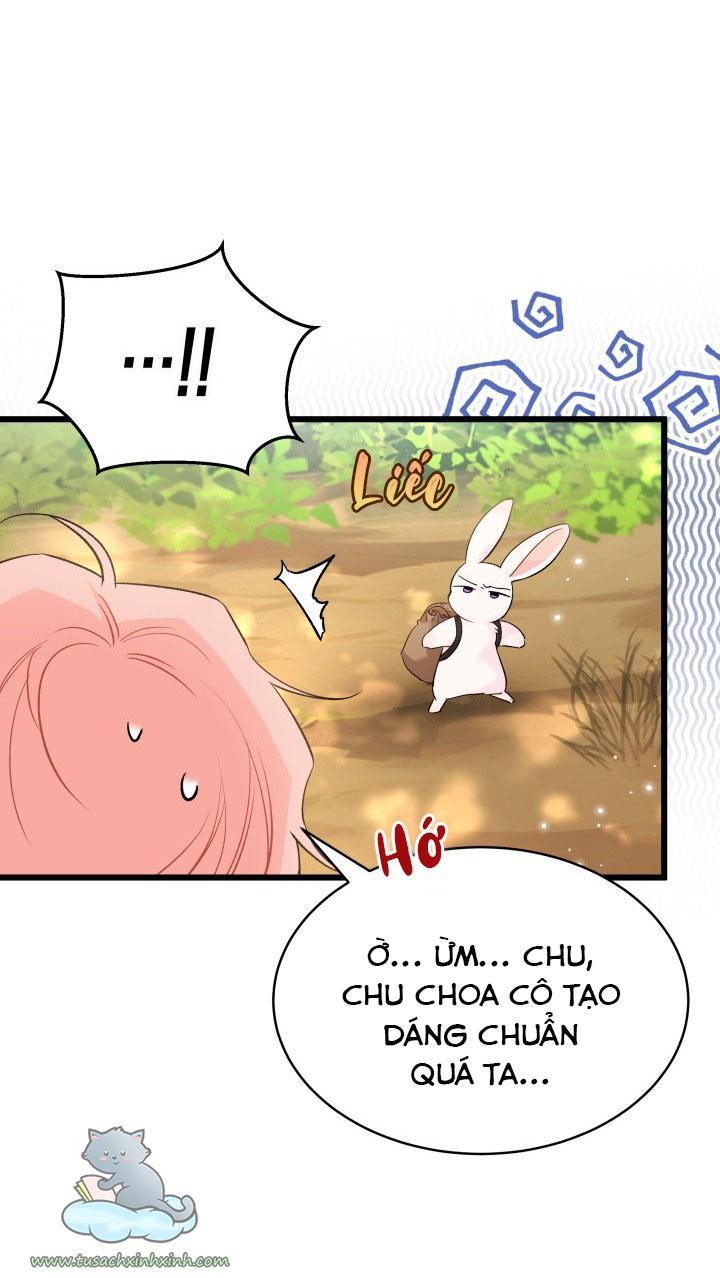 quan hệ cộng sinh giữa báo đen và thỏ trắng chapter 61 48