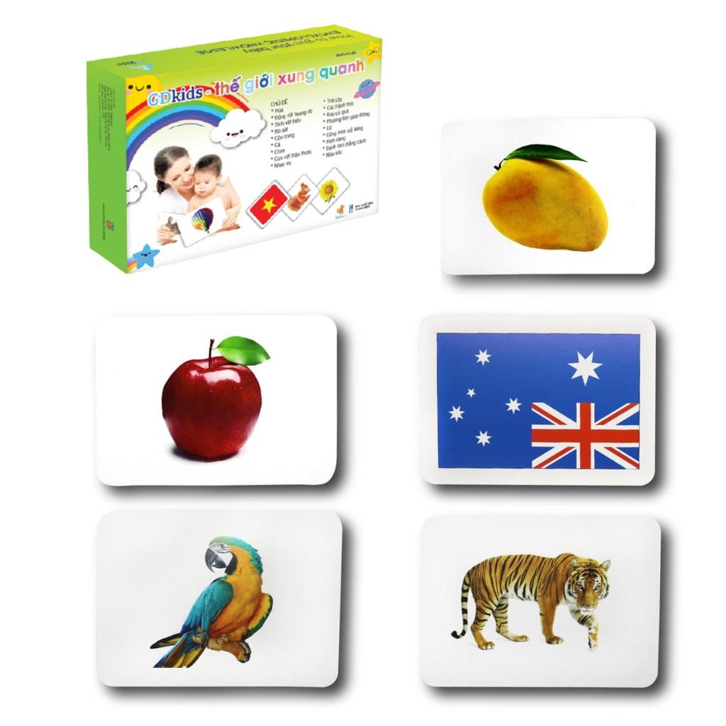 Flashcard chuyên sâu combo 3 bộ thẻ học 709 thẻ cho trẻ sơ sinh đến 6 tuổi