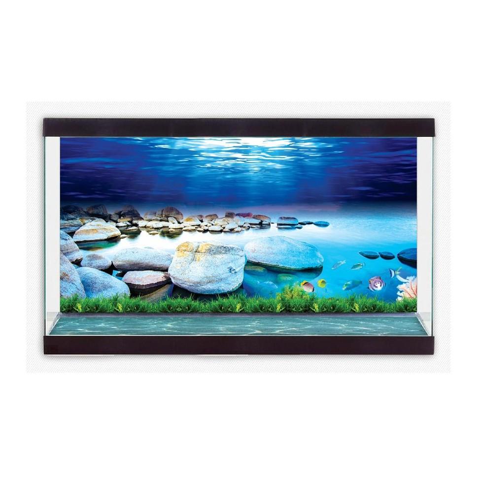 TRANH DECAL DÁN HỒ CÁ 3D_DECAL VIP