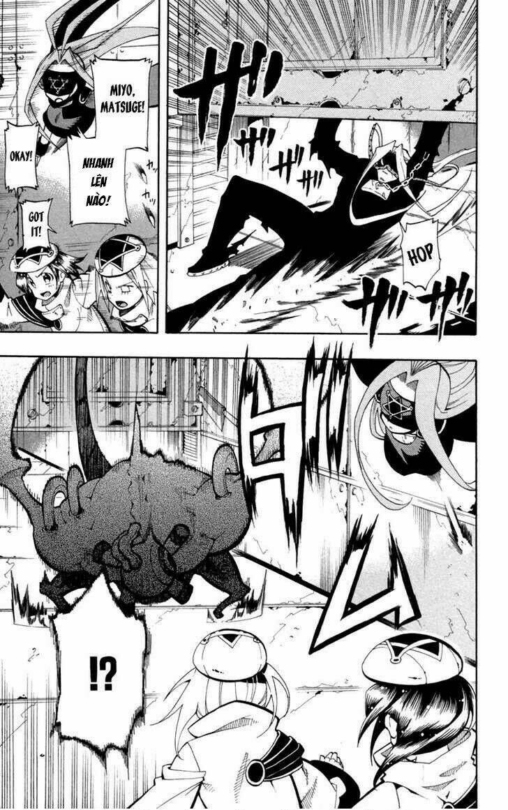 tripeace chapter 15 25