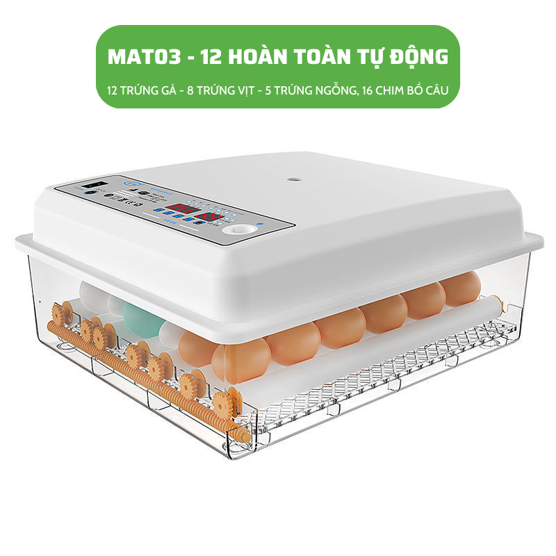 Máy ấp trứng gà mini thông minh Dương Ninh M10-130 trứng MAT03