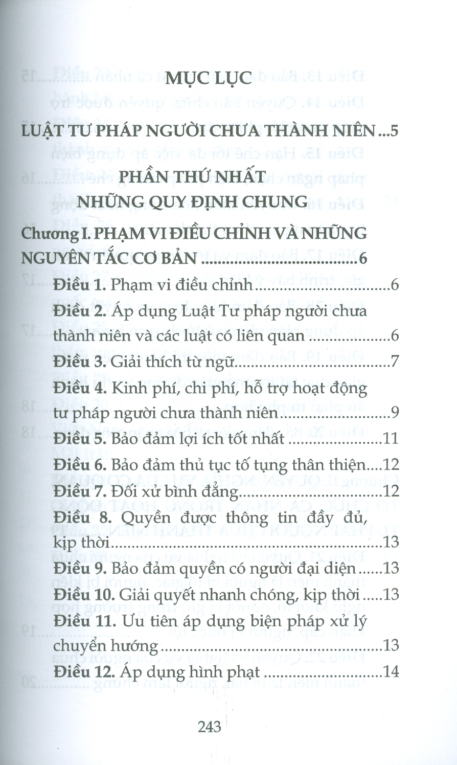Luật Tư Pháp Người Chưa Thành Niên (Sửa Đổi, Bổ Sung Năm 2025)