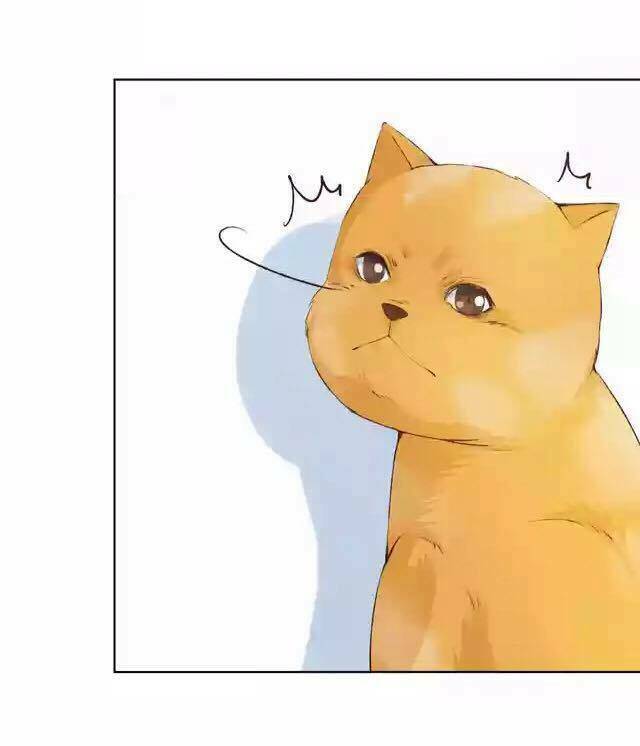 tôi không phải đa nhân cách chapter 30 55