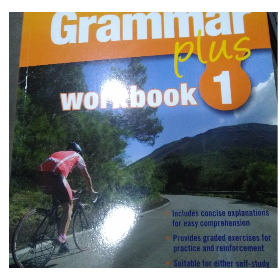 Grammar Plus Workbook 1