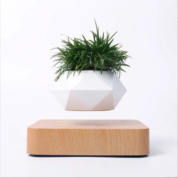 Chậu Cây Bay BonSai Zero W Design thế hệ mới