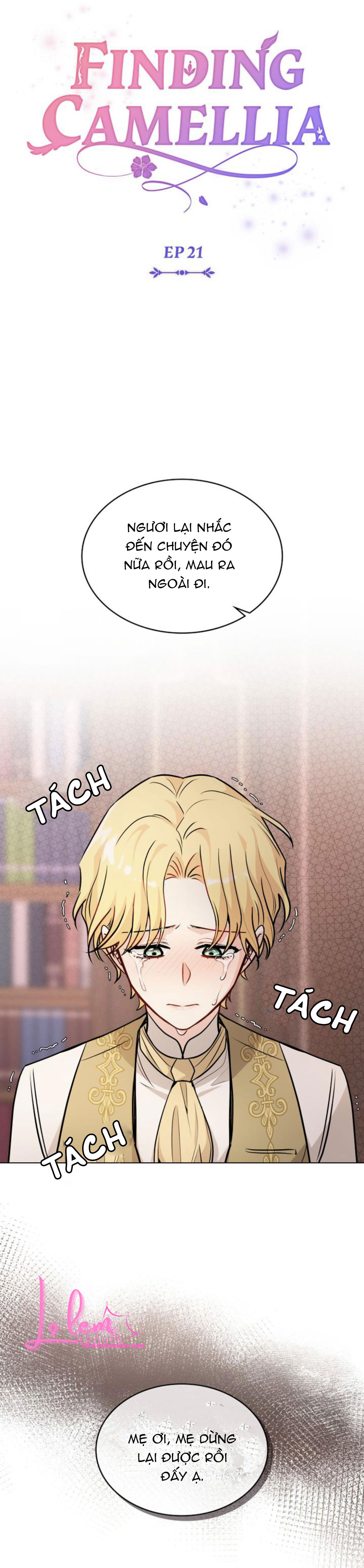đi tìm nàng camellia chapter 21.2 4