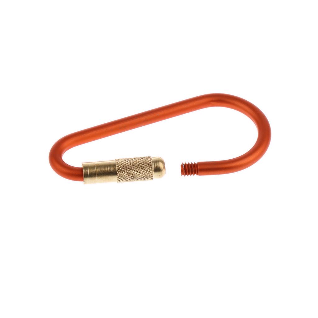 4Pcs Aluminum Alloy D Climbing Carabiner Keychain Buckle for Camping Hiking