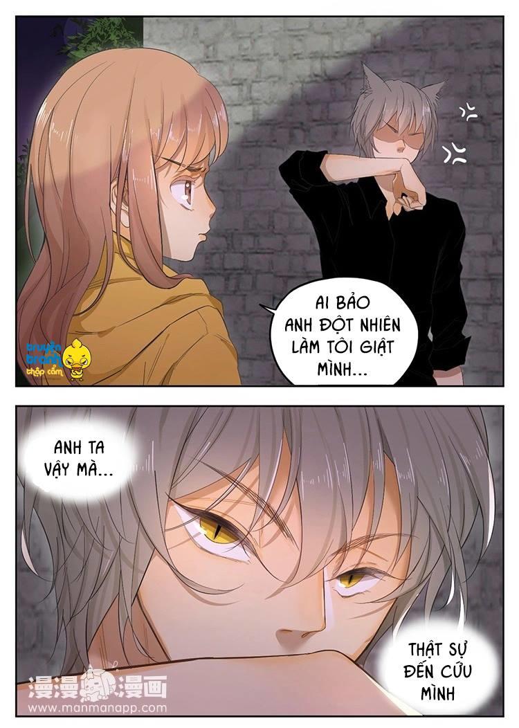 cứu mạng ! loài mèo thống trị thế giới rồi ! chapter 21 2