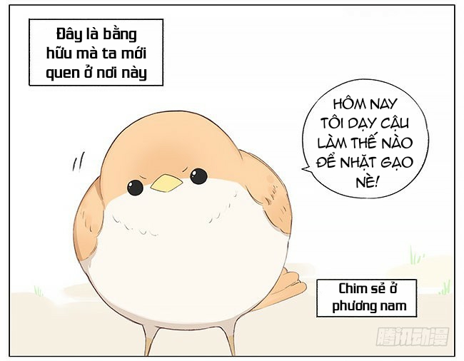 sẻ chiếu mới và nhạn phong sương chapter 4 2