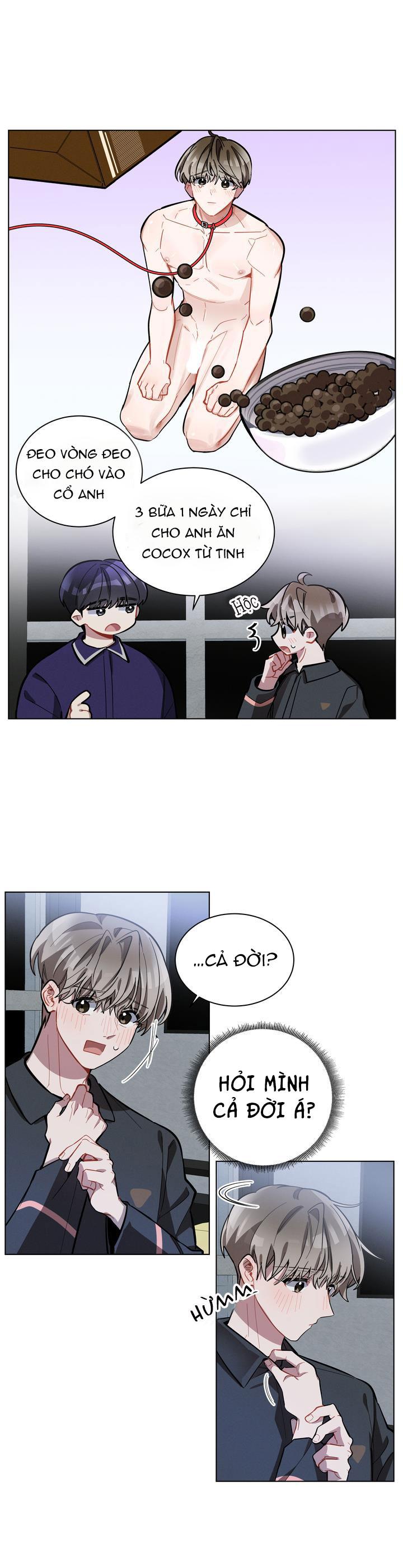 cherry scandal chapter 11 26