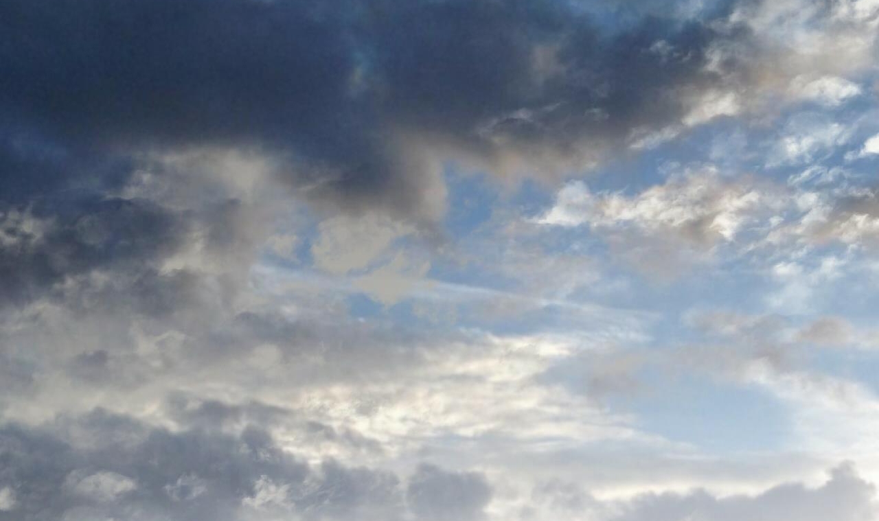 đàn thỏ của habibi chapter 55 73