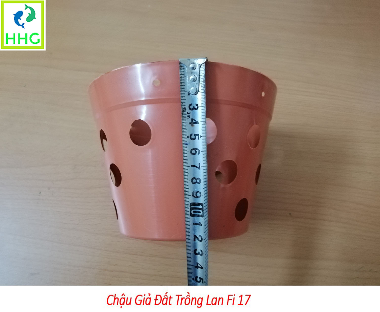 20 chậu giả đất trồng lan Fi 17 - đường kính 17cm