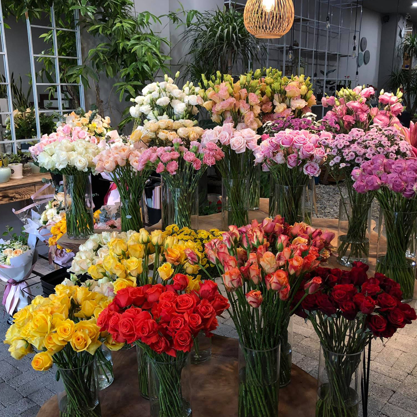 Bột cắm hoa cắt cành Longlife SG của Israel - Food For Cut Flower (Combo 3 hộp 1kg), giúp shop hoa bảo quản hoa tươi lâu và không thay nước, cắt tỉa gốc hay hạn chế thay hoa định kỳ theo tuần
