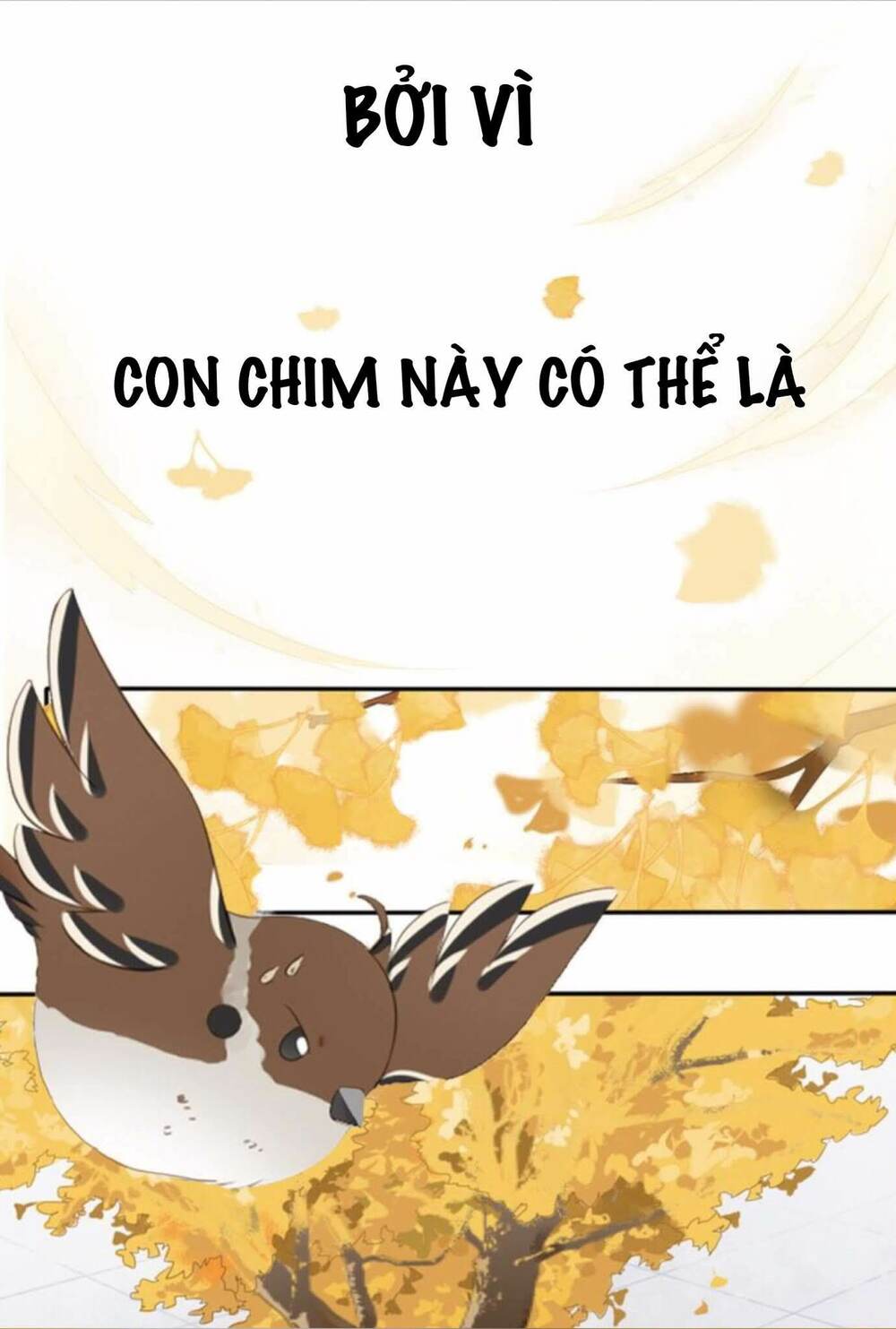 tiêu lăng chapter 0 4