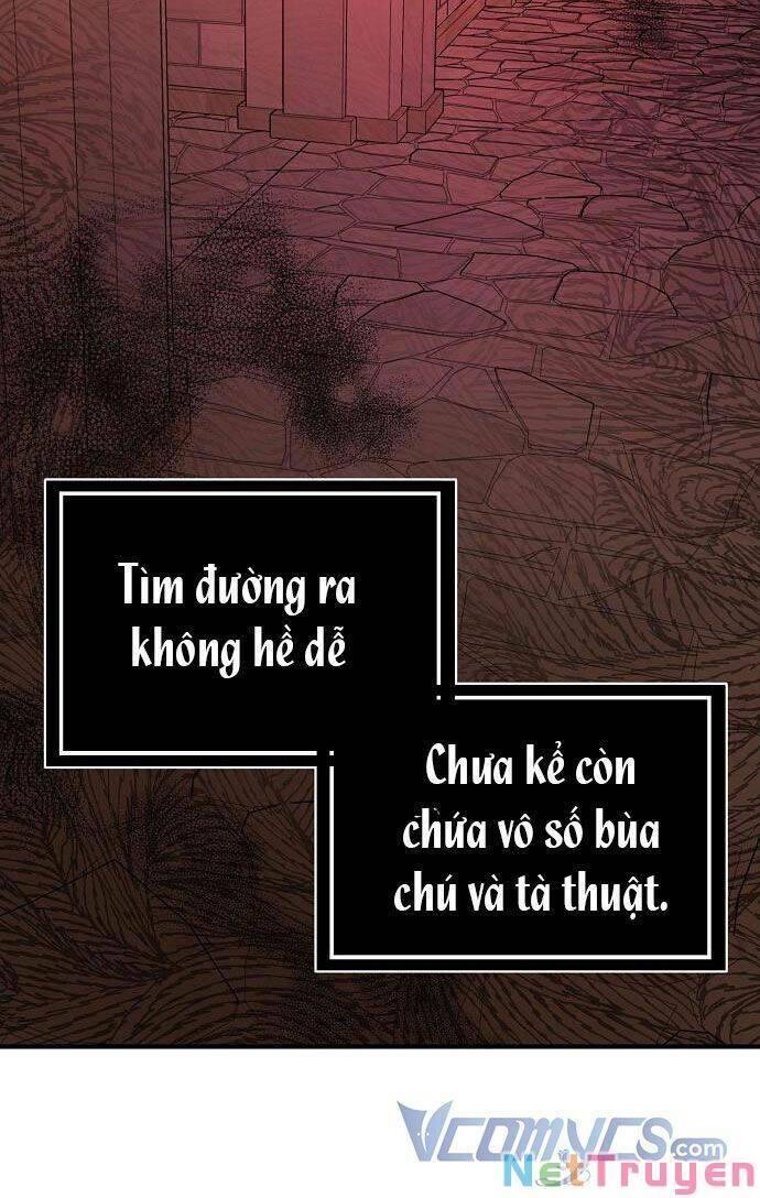 tôi không cố ý quyến rũ nam chính đâu! chapter 51 58