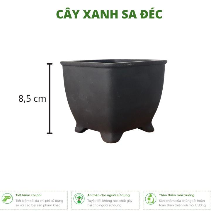 Chậu vuông mini CK7 màu trơn thanh lịch dùng trồng cây để bàn, văn phòng, quán cafe, nhà hàng, khách sạn