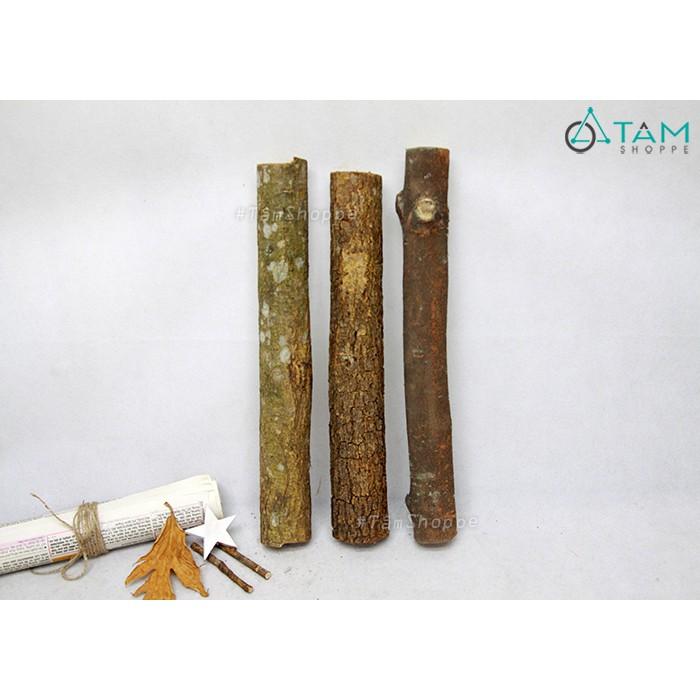 COMBO 2 Khúc củi khô trang trí ĐK 5-7cm dài 40cm ngẫu nhiên W-CUI-06