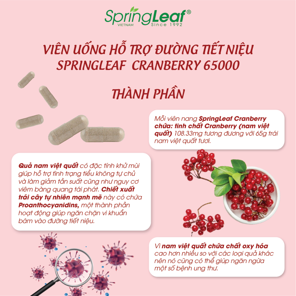 Viên uống đường tiết niệu SpringLeaf Cranberry 65000mg 30 viên cải thiện sức khỏe tim mạch, sức khỏe đường tiết niệu, chống oxy hóa