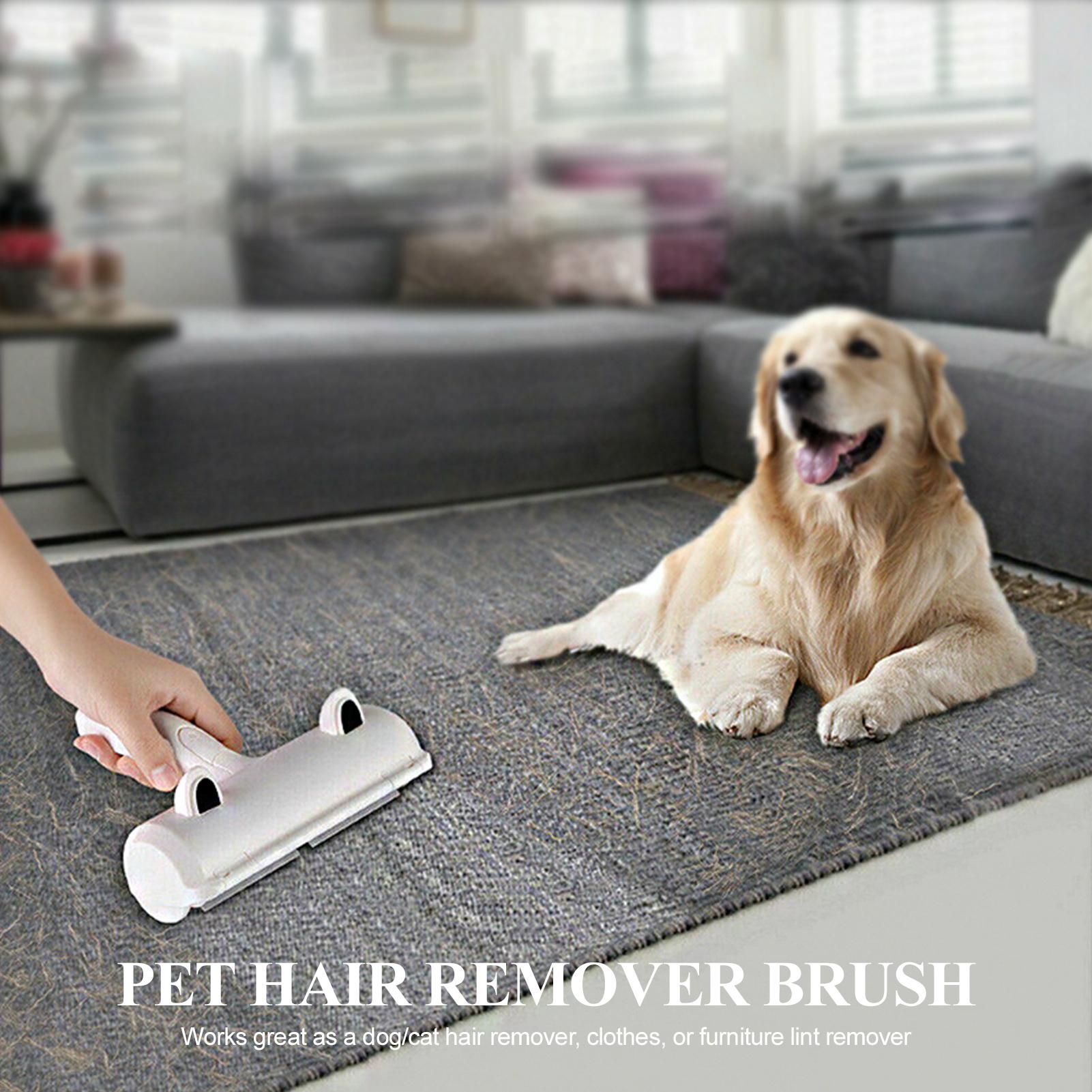 Đồ tẩy lông dành cho thú cưng