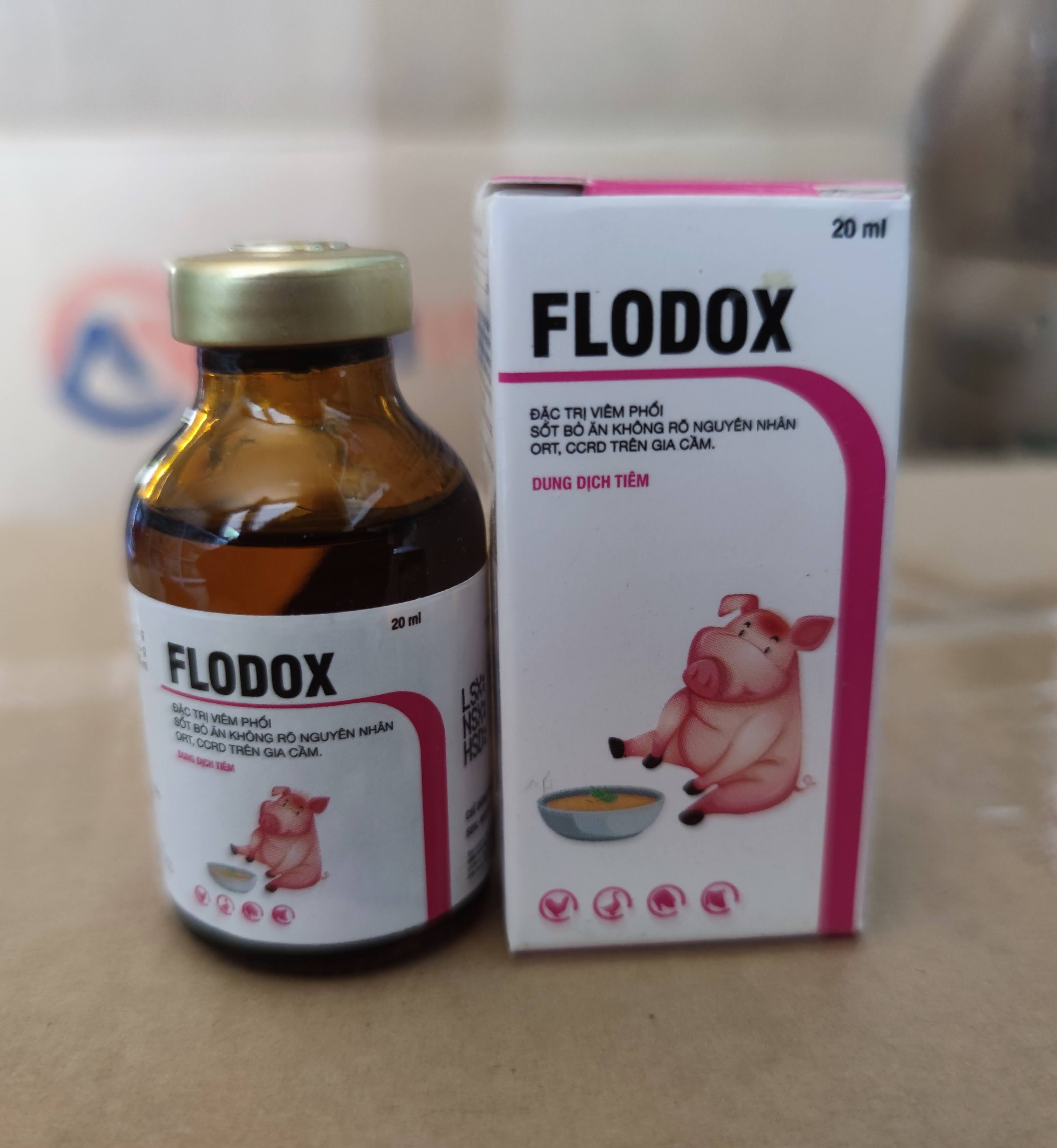 Flodox - Viêm phổi bỏ ăn không rõ nguyên nhân