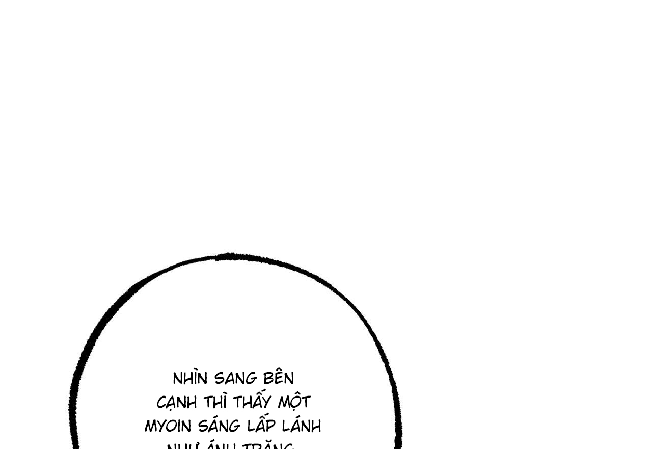 đàn thỏ của habibi chapter 59 193