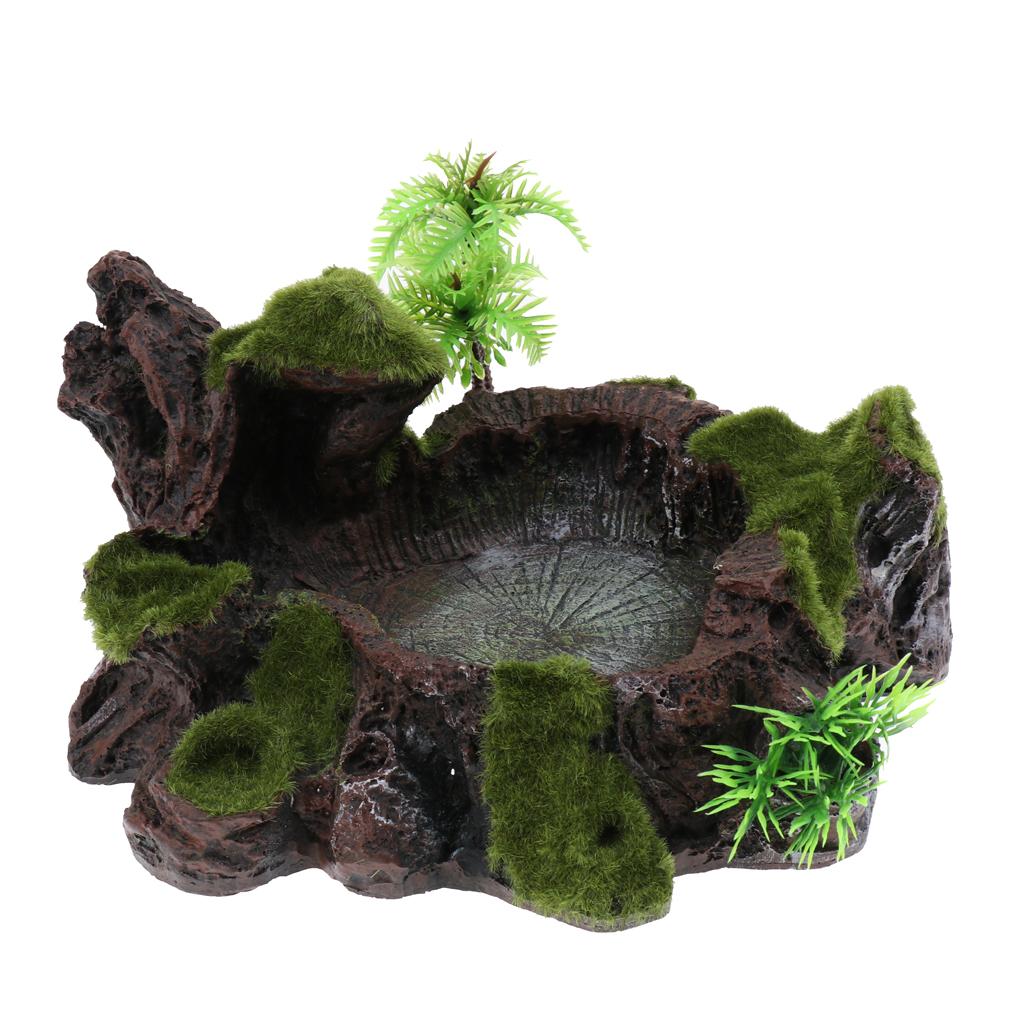 Nhựa Rock Bowl Bát Thức ăn Nước Cho đĩa Bể Chứa Terrarium