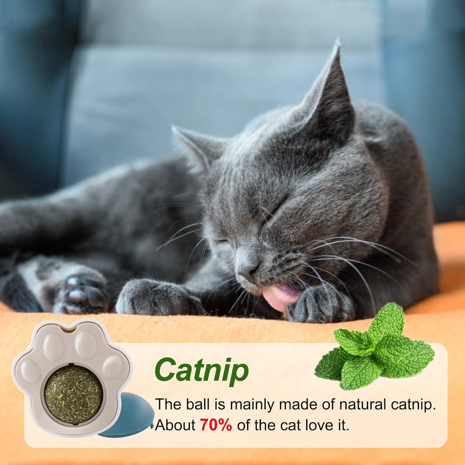 Bóng cỏ mèo, bóng mèo tường, đồ chơi cỏ mèo, đồ chơi catnip ăn được cho mèo