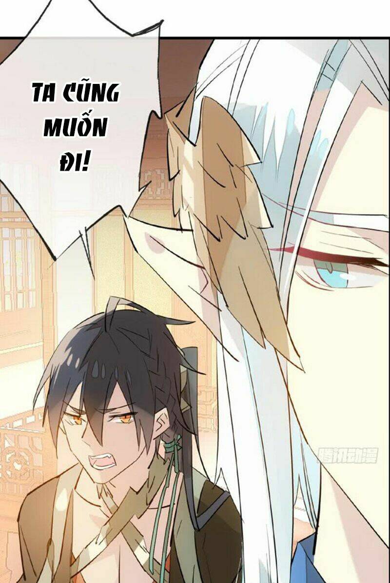 sư phụ lại trêu chọc ta chapter 39 25