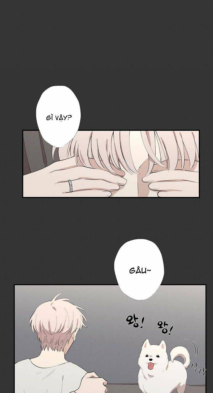 trốn tìm chapter 14 22