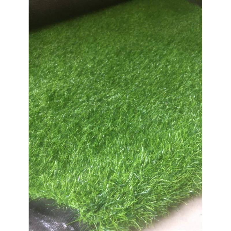 Combo 6 m2 thảm cỏ nhựa sợi 3 cm khổ 2x3md