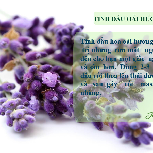 Combo Tinh dầu Oải Hương, Ngọc Lan Tây Julyhouse + Tặng Tinh dầu Sả Java 10ml.