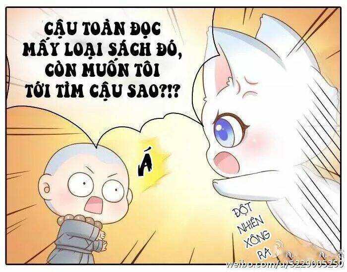 tiểu hồ ly vs tiểu hóa thượng chapter 36 13