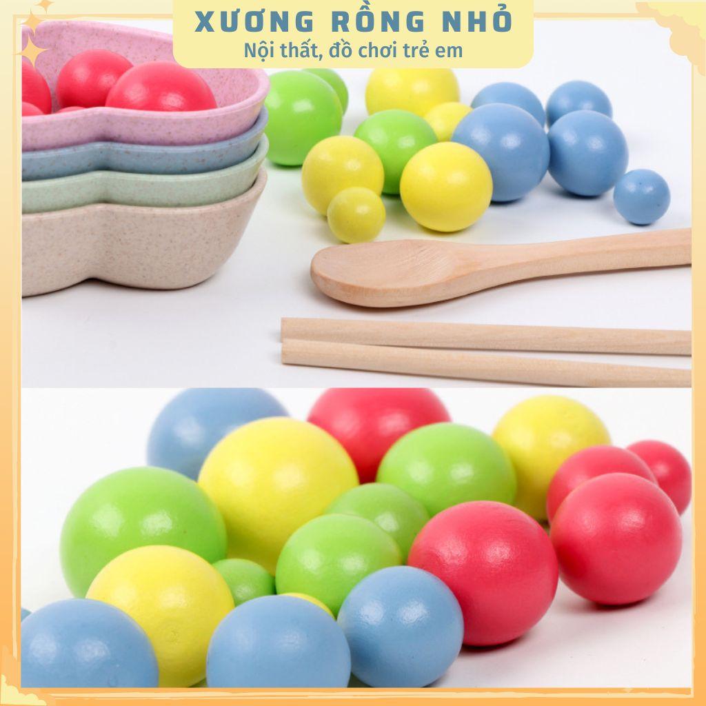 Đồ Chơi Gắp Bi Gỗ - Giáo Cụ Montessori Luyện Vận Động Tinh, Sự Khéo Léo, Tập Trung Cho Bé