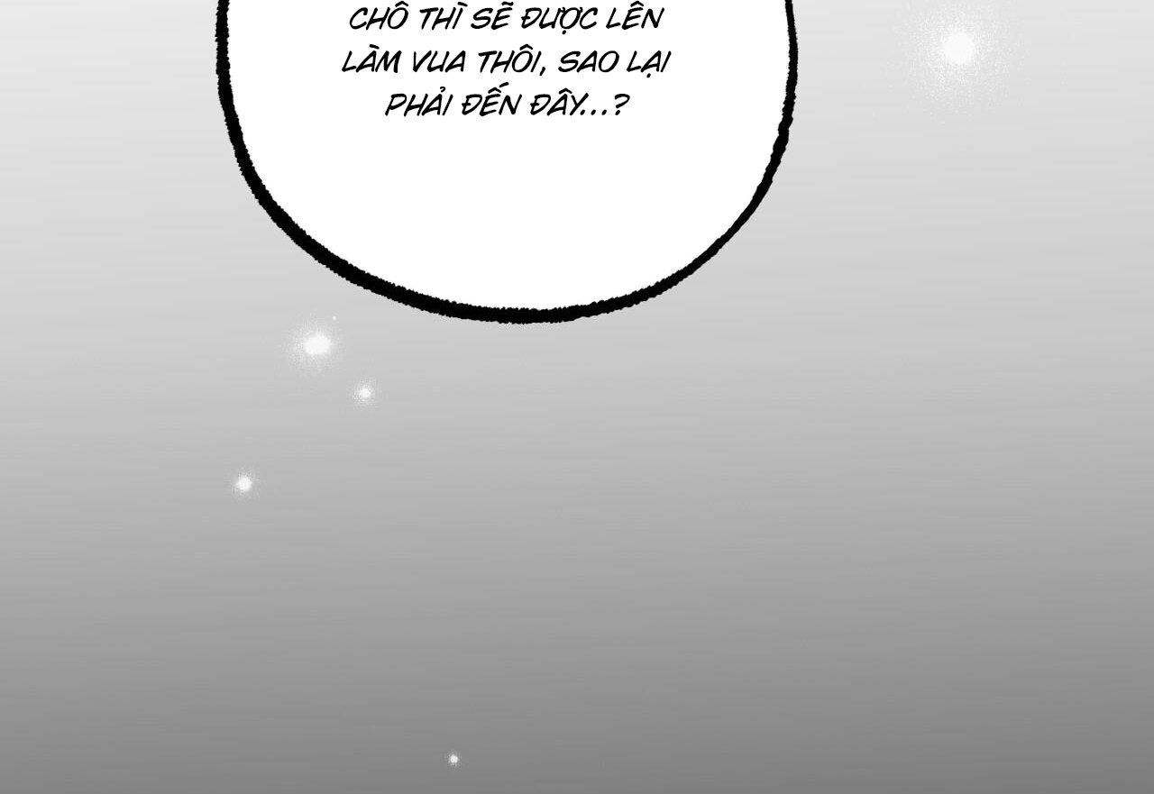 những chú thỏ của hapypy chapter 59 29