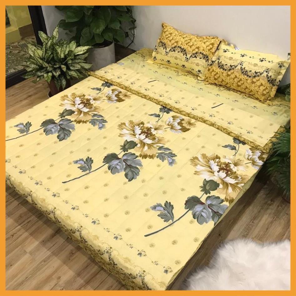 Lẻ = sỉ bộ ga chun cotton poly m6 hoặc m8