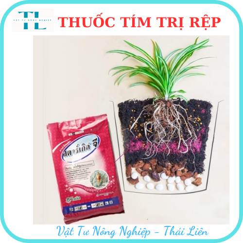 Thuốc tím trị rệp, Starkle-G, bao 50gr, lưu dẫn, an toàn, hiệu quả, dùng cho sen đá, xương rồng