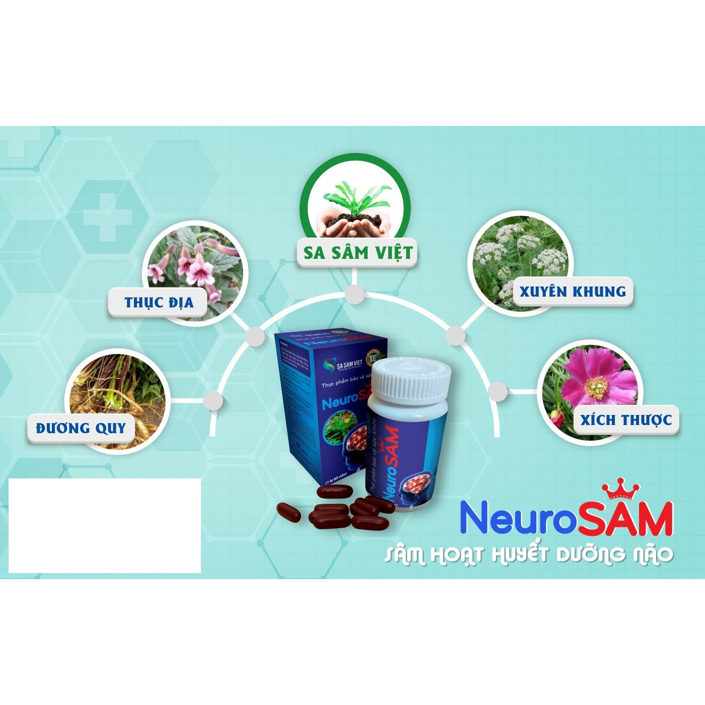 Sâm hoạt huyết dưỡng não NEUROSAM - Hộp 60 viên, Hỗ trợ hoạt huyết, giảm đau đầu chóng mặt, tê mỏi chân tay, thiểu năng tuần hoàn não