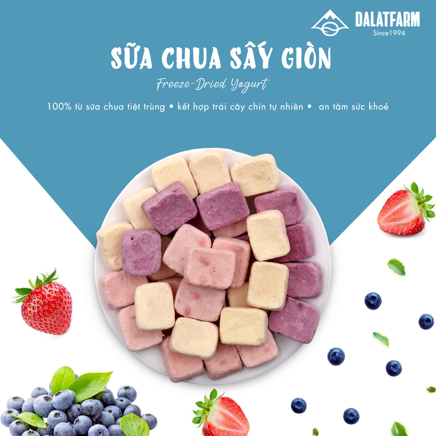 Sữa Chua Sấy Giòn DalatFarm - Hộp 80g