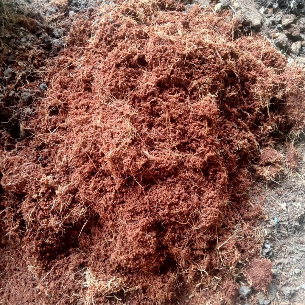1Kg Mụn Xơ Dừa Trồng Cây - Trồng Rau - Cây Cảnh