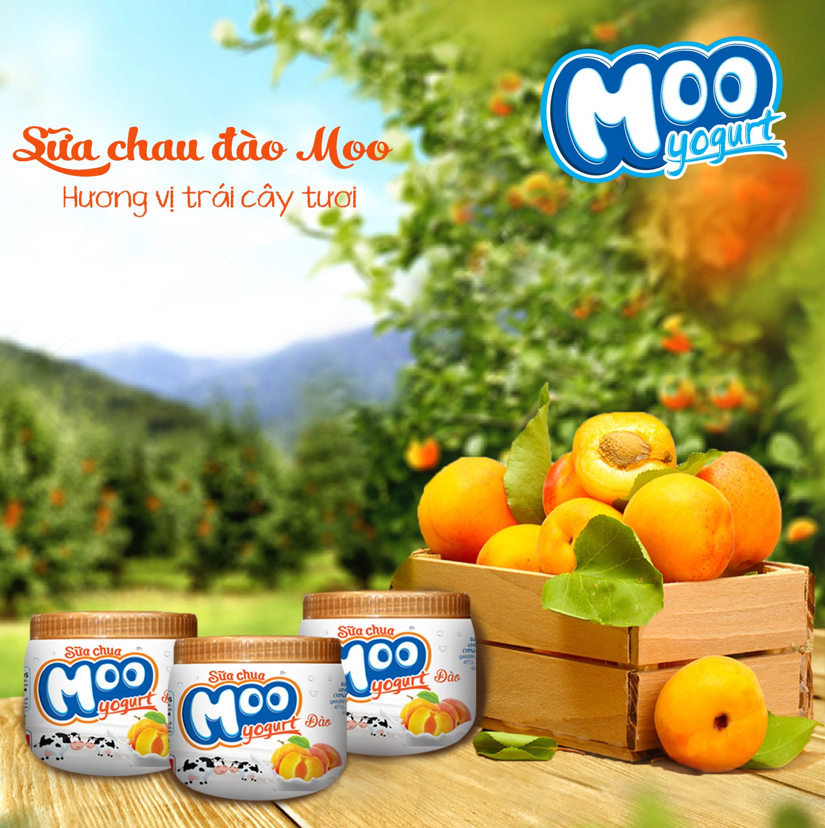 Combo 15 Hũ Sữa Chua Moo Vị Đào 180g