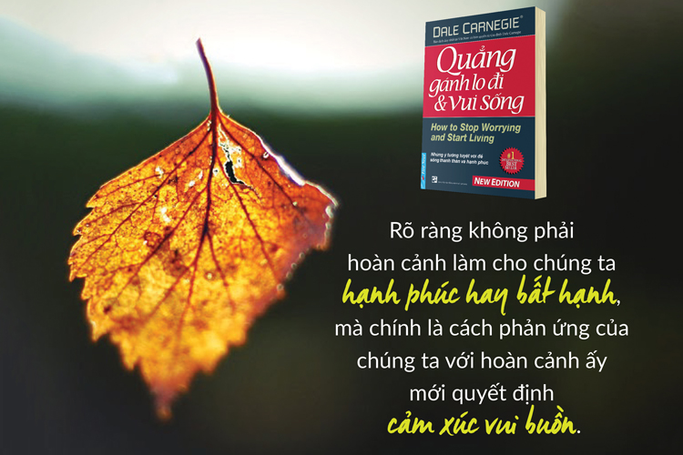 Quẳng Gánh Lo Đi Và Vui Sống (Bìa Cứng)