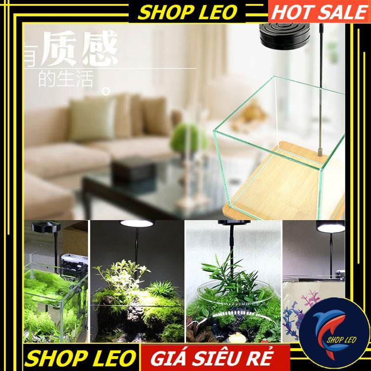 Đèn Led Kệ gỗ BamBoo 5W - Đèn đế gỗ